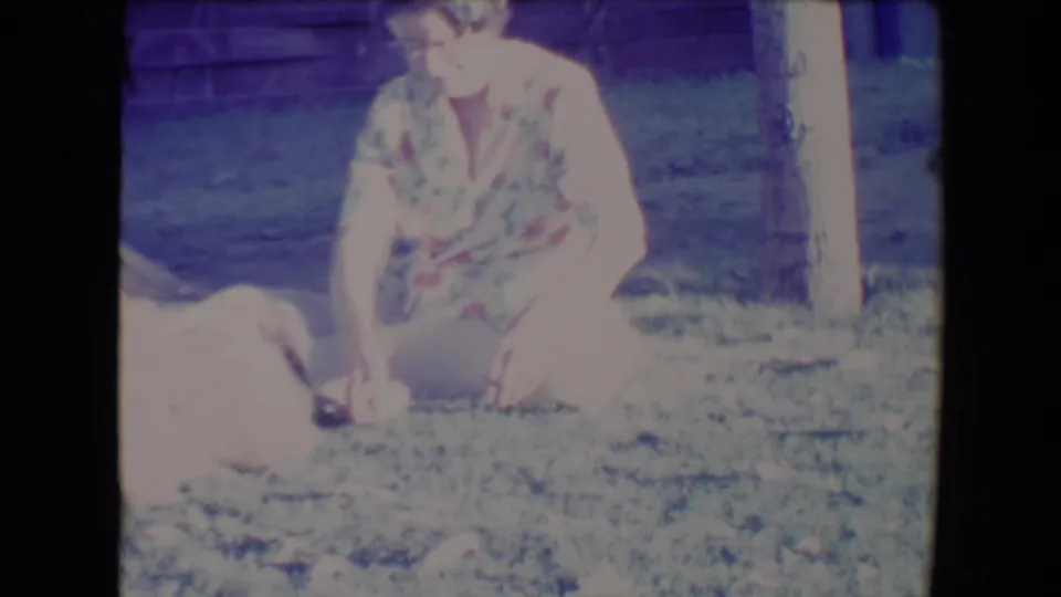 A woman in Tucson, Arizona, sits on the grass beside a light-colored dog, with a wooden fence and tree trunk behind her.