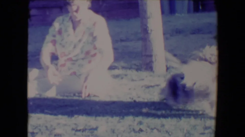 The 1967 home-movie frame shows a woman seated on a Tucson lawn while a light-colored dog moves across the foreground.