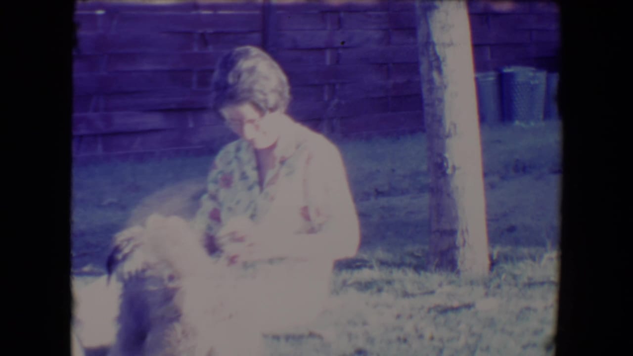 Woman looking down toward a dog while seated on the grass.