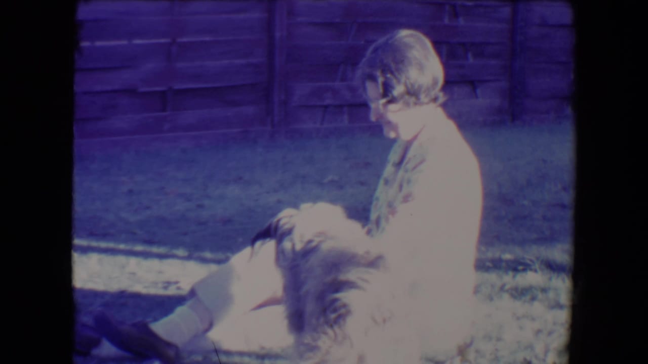 1967 Tucson home-movie frame of a woman in a light floral dress sitting on grass and petting a fluffy dog near a wooden fence.