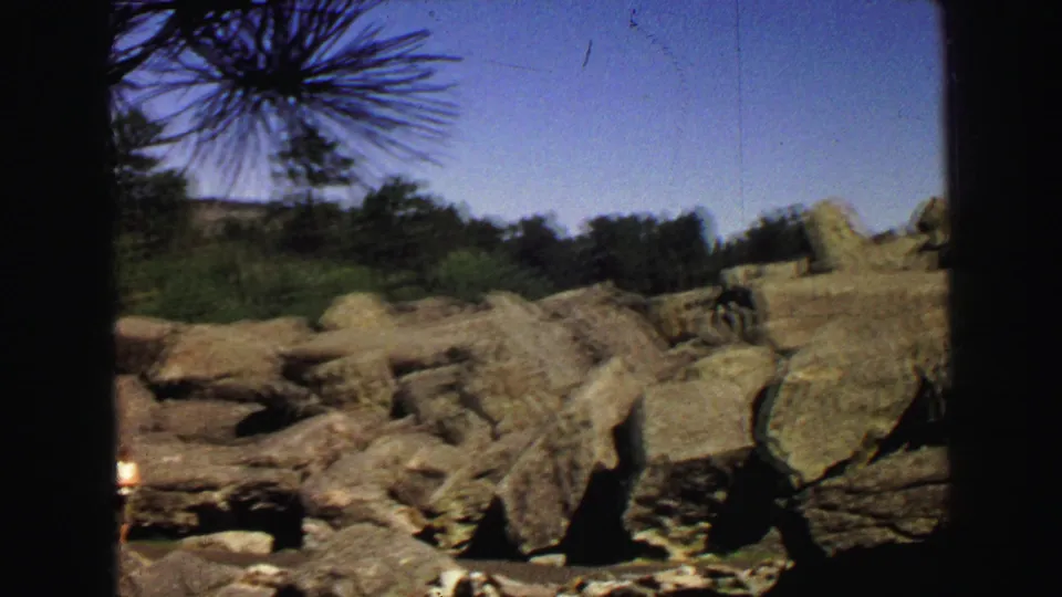1967 Yellowstone 8mm frame with soft-focus rocks, pine branches, distant shrubs, and a partial light-toned figure or object at the lower left edge.