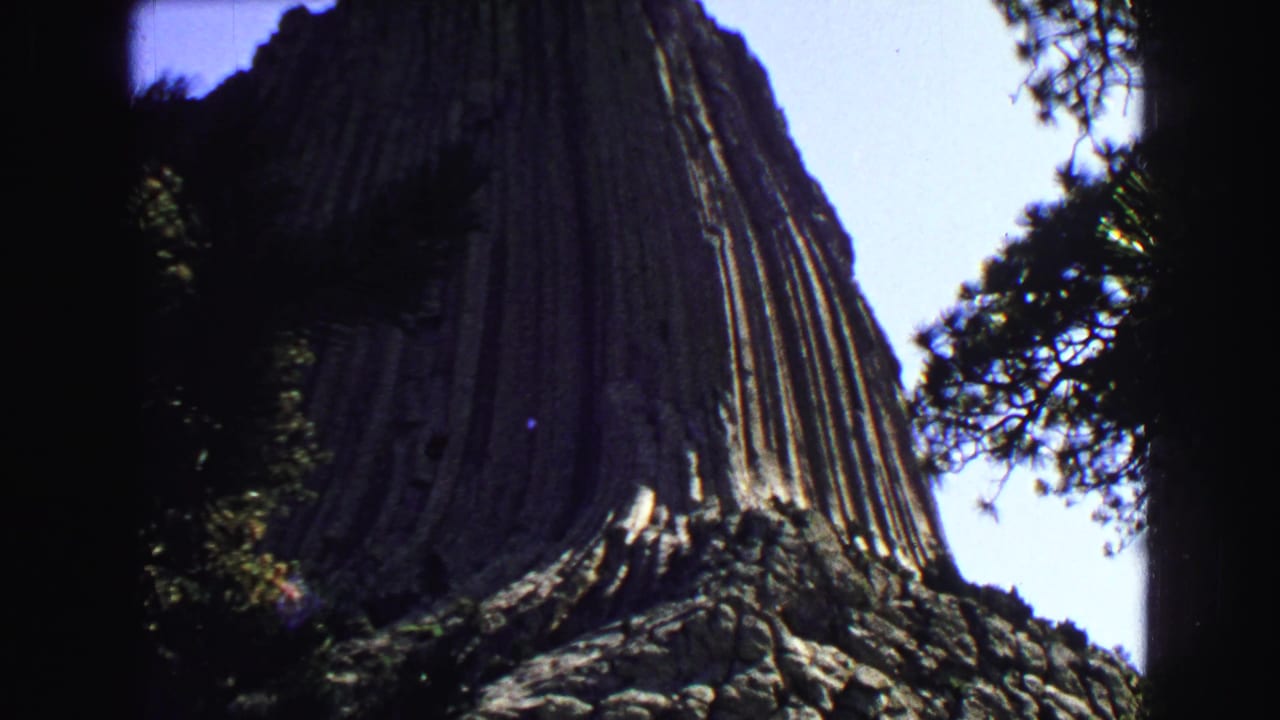 Low-angle view of Devil's Tower framed by dark pine trees.