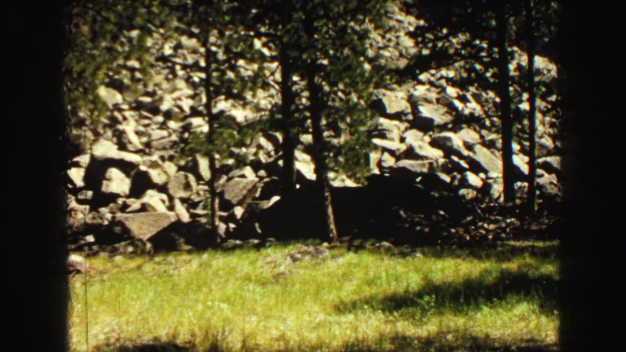 Forest edge near Devil's Tower, with grass, pine trunks, scattered boulders, and a bright rock wall in 8mm color footage.