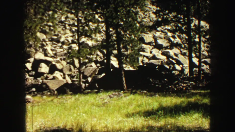 Forest edge near Devil's Tower, with grass, pine trunks, scattered boulders, and a bright rock wall in 8mm color footage.