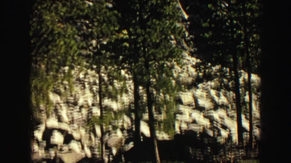 Handheld 8mm view of pine trunks, pale rock, and boulders below the Devil's Tower formation in Wyoming travel footage.