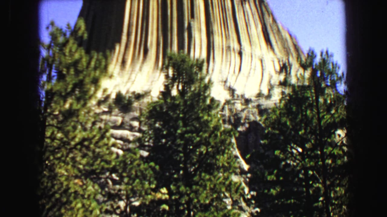 Lower section of Devils Tower behind pine trees under a blue sky.