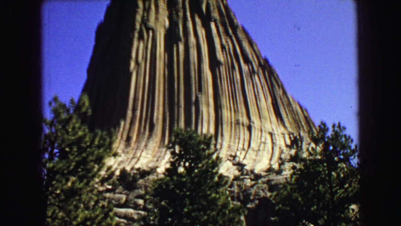 Close view of Devils Tower rock face rising above pine trees.