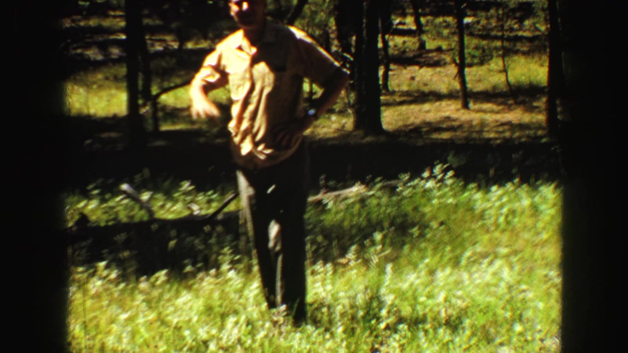 Man in a yellow shirt standing in a sunny forest clearing.