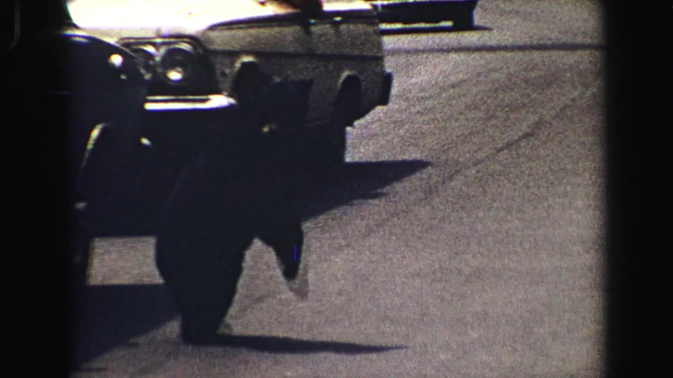 A bear cub moves close beside a parked vintage car on a Yellowstone road in grainy 1967 8mm footage.