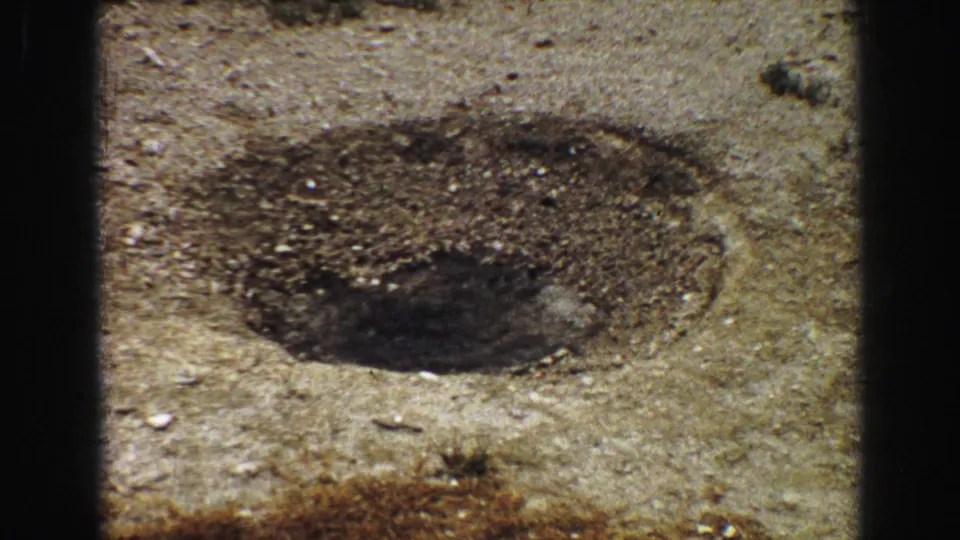 1967 Yellowstone frame emphasizing the small geyser vent in mineral ground, with faint spray and visitors in the distant background.