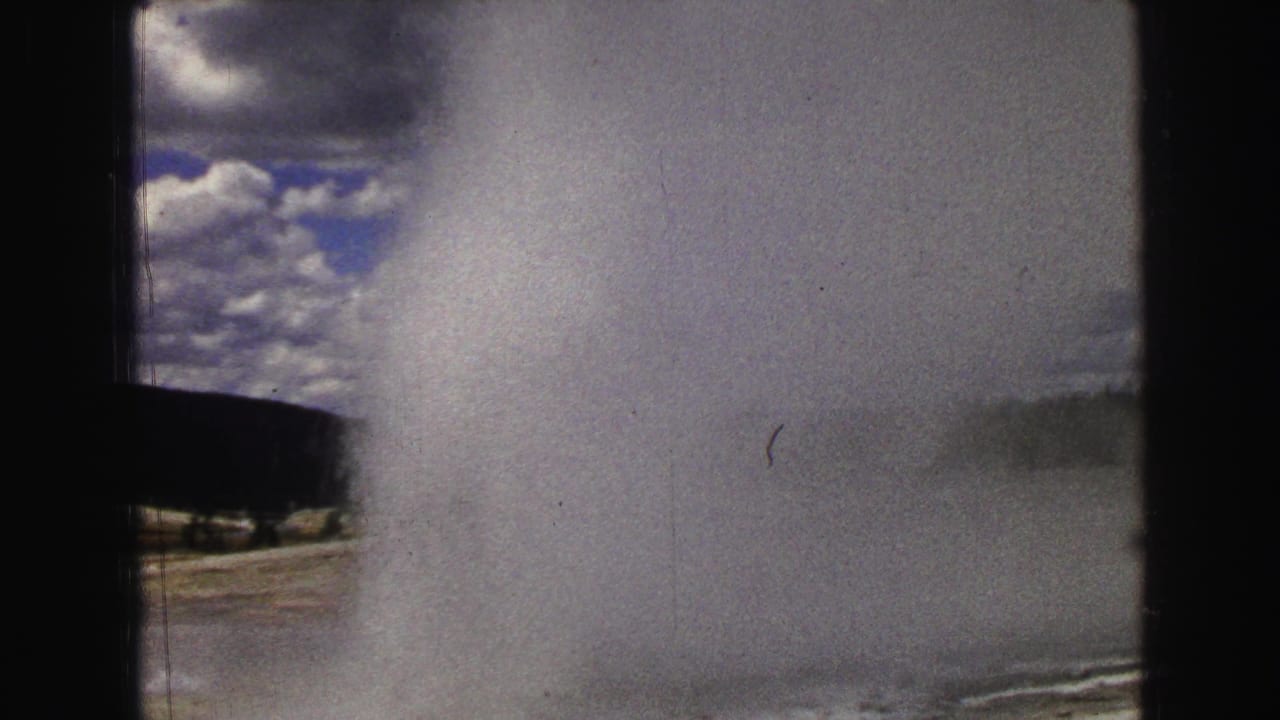 Geyser plume filling the center of the frame with clouds and a dark treeline behind it.