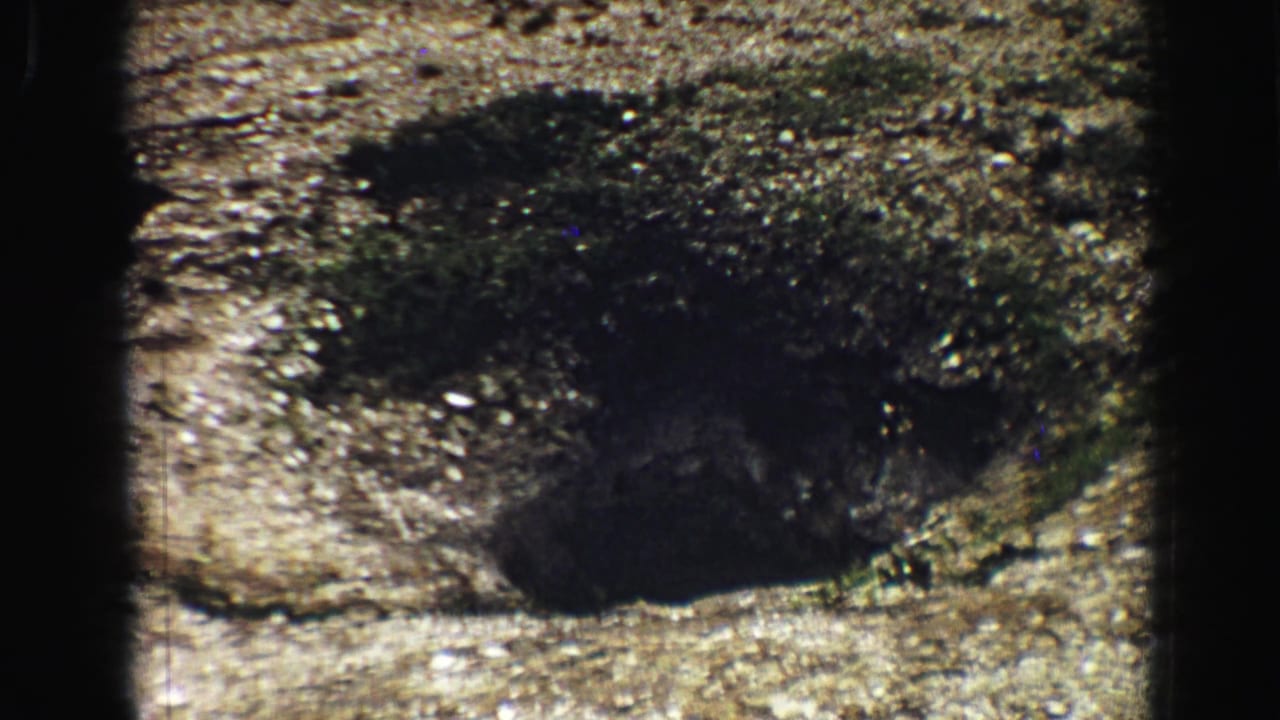 Dark wet or mossy patch on rocky geothermal ground.