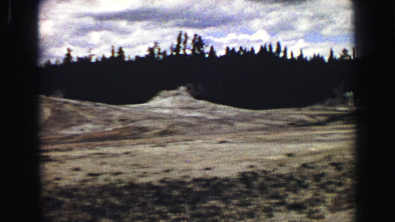 Wide view of Old Faithful's mound, pale geyser field, dark trees, and cloudy sky.