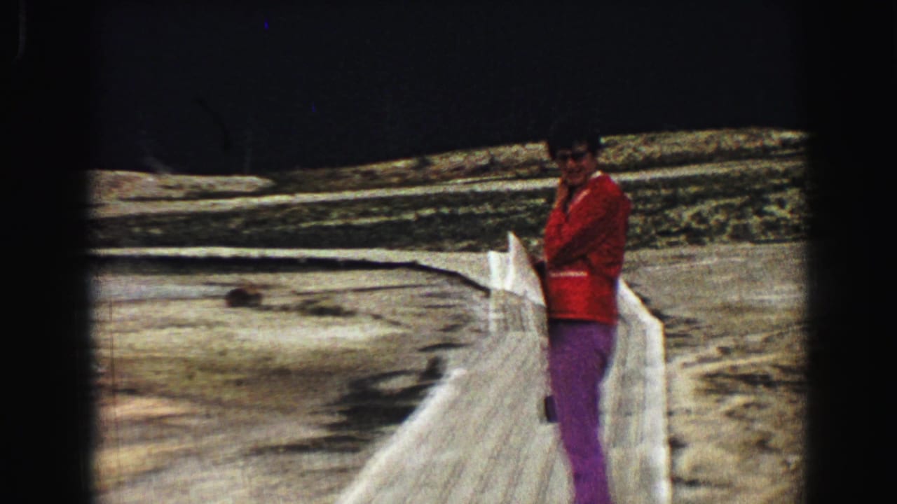 Visitor by a boardwalk railing with geothermal ground and steam behind them.