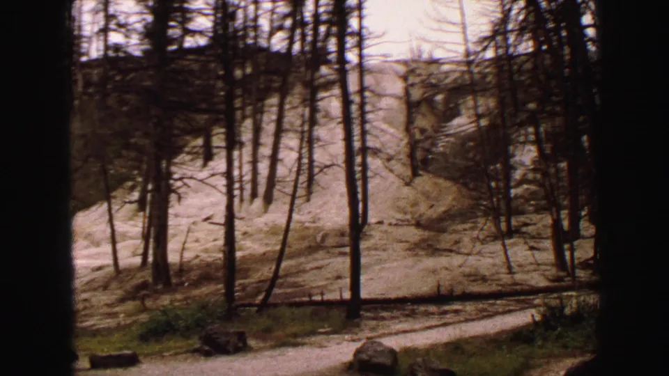 1967 8mm Yellowstone view of leafless trees, a sandy hillside, scattered rocks, and dark frame edges from a moving roadside perspective.