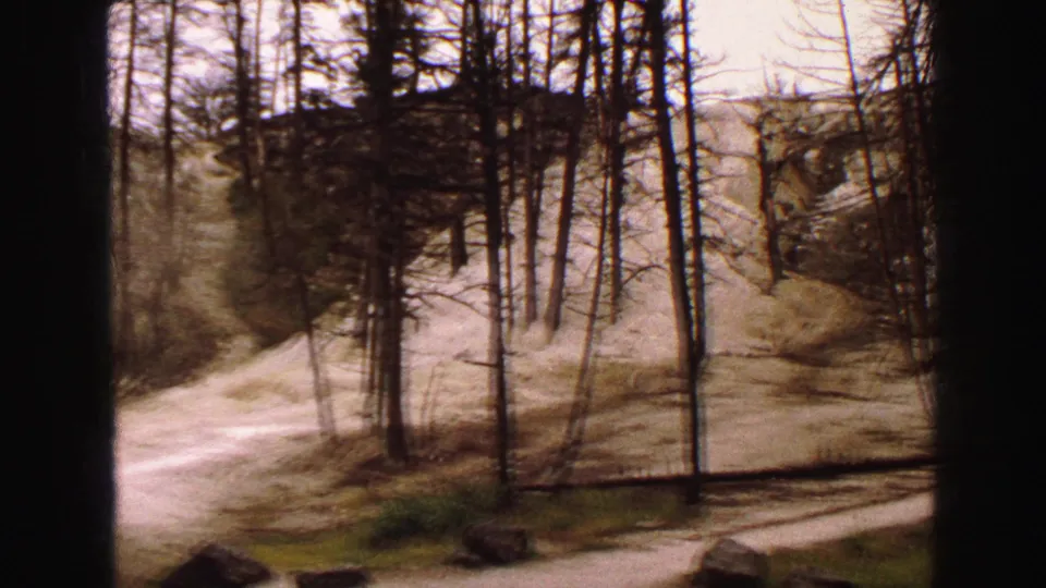 1967 Yellowstone home-movie frame showing a pale path through leafless trees beside a steep sandy hillside.