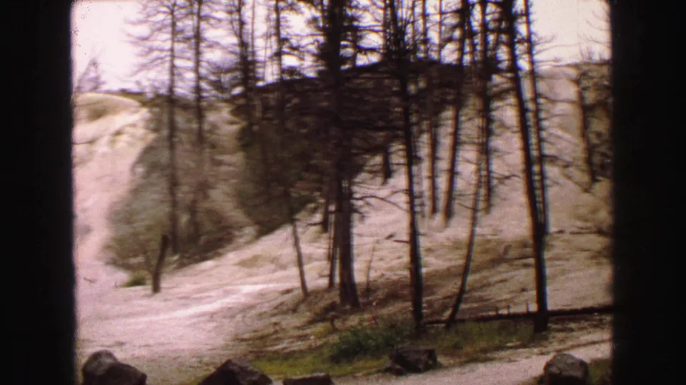 Moving 8mm roadside view in Yellowstone with leafless trees, scattered rocks, and a pale path below a sandy slope.