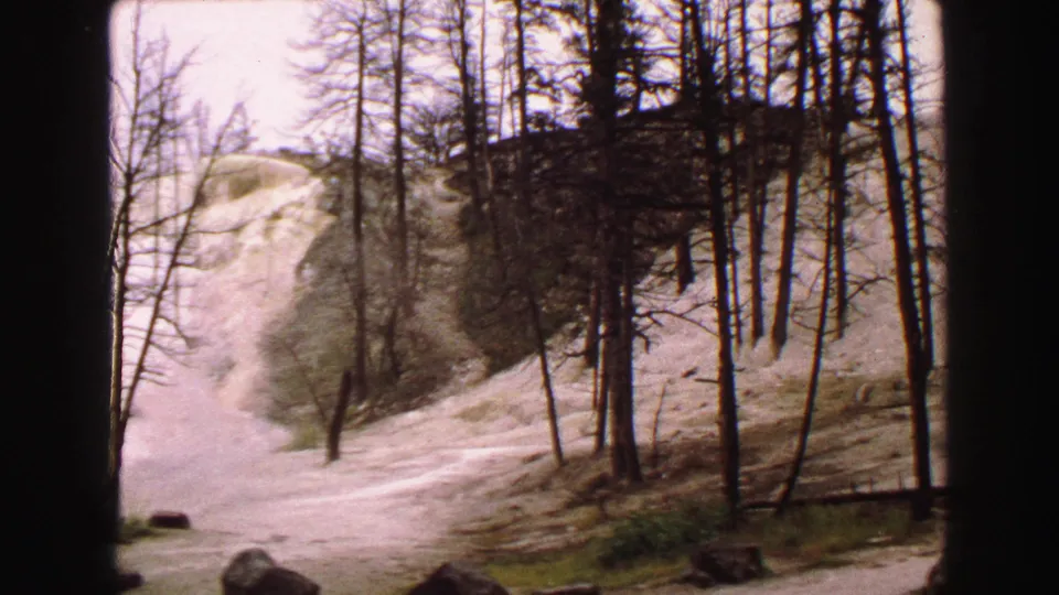 1967 8mm Yellowstone frame of a pale roadside path, leafless trees, sparse brush, and a steep light-colored hillside.