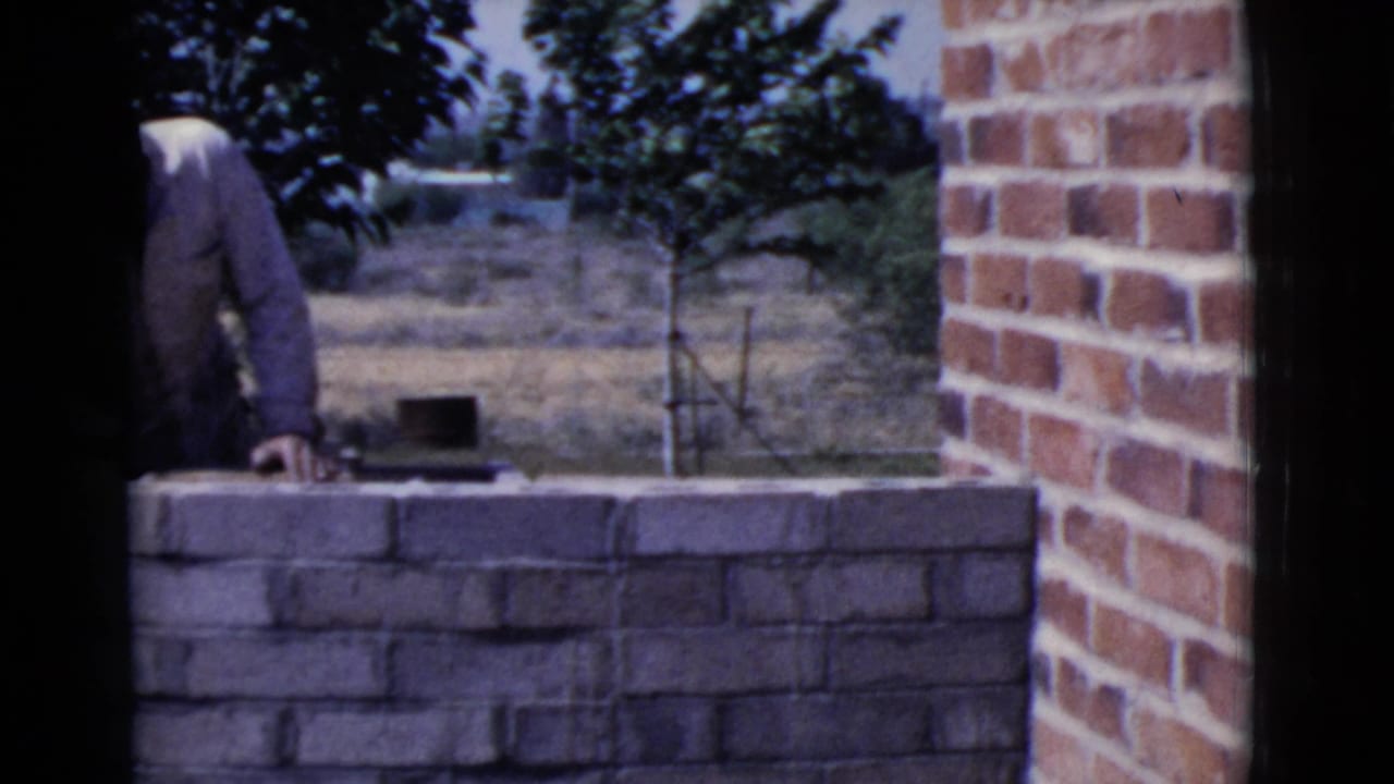 Man partly visible behind a low brick wall in a sunny yard.