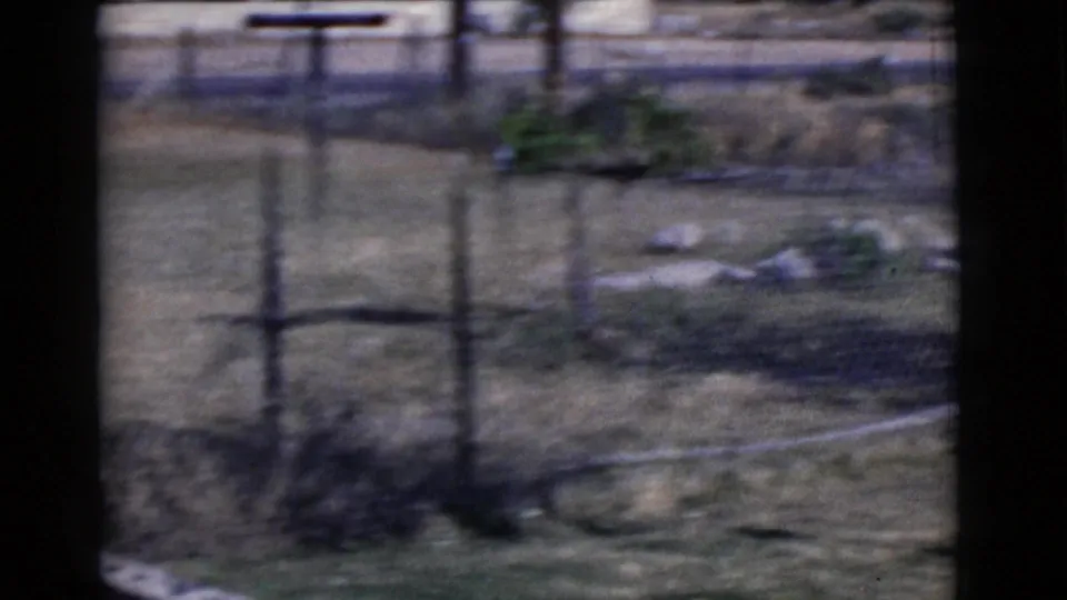 A soft 8mm frame shows the yard beyond the brickwork, with fencing, grass, scattered materials, and strong outdoor shadow.