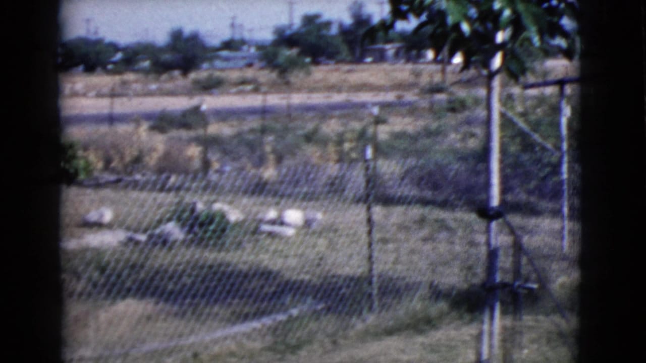 Chain-link fence, dry grass, rocks, and a tree seen through a dark window frame.
