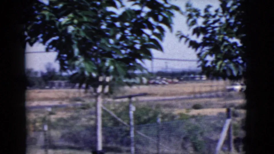 1968 Cottonwood, Arizona home-movie frame with leafy branches in the foreground, a chain-link fence, dry grass, and a road beyond.