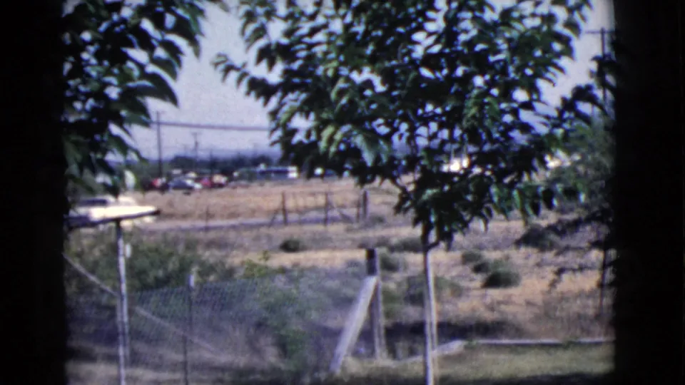 1968 Cottonwood, Arizona 8mm frame showing fence posts, tree leaves, dry grass, utility poles, and distant cars near a road.