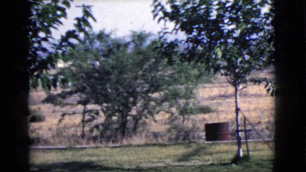 Trees and a red barrel beside a grassy yard and dry field, framed by dark vertical edges.
