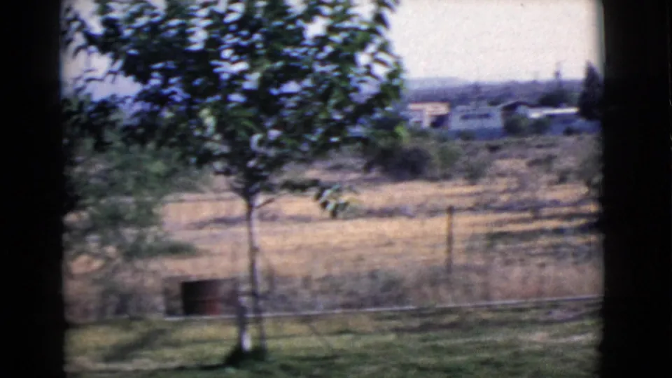 1968 Cottonwood, Arizona view of a young tree, red barrel, lawn, fence line, dry field, and distant residences through dark frame edges.