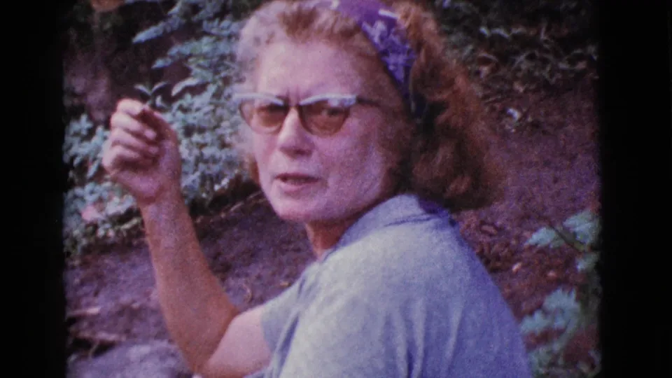 Adult woman in glasses and a light shirt looks toward the camera in a wooded Cottonwood, Arizona setting.