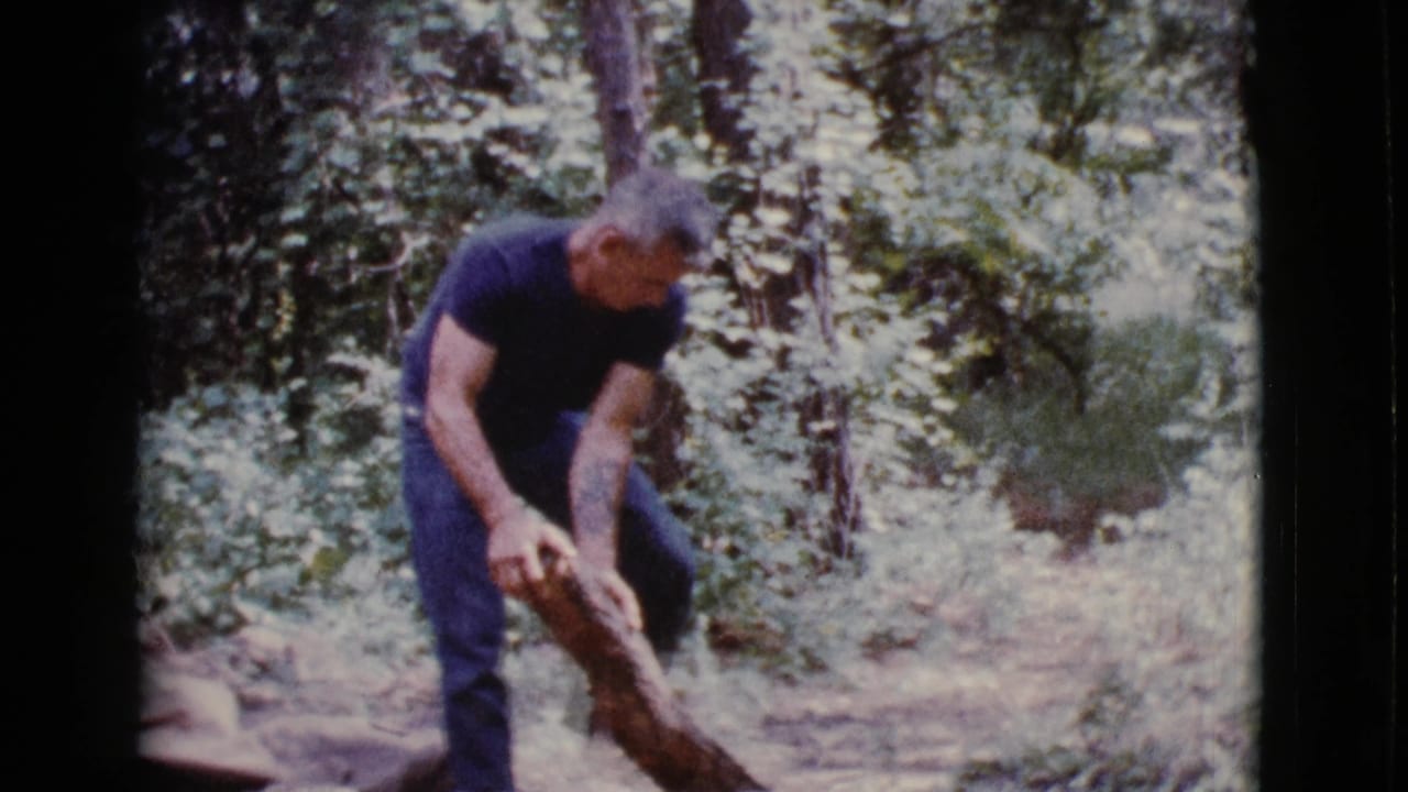 Adult man in a dark shirt pulls at a partially sawn log in a wooded area.