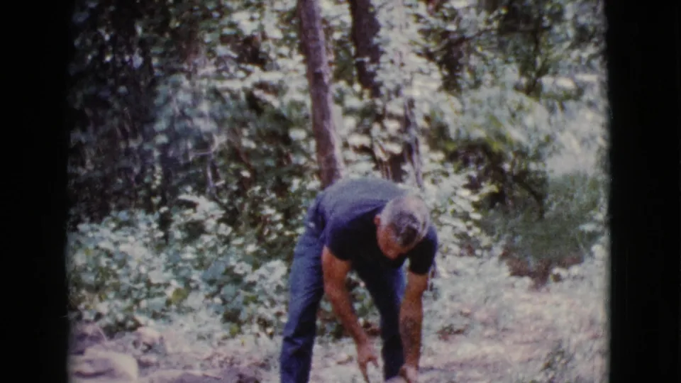 The man leans down toward the partly sawn log, framed by brush and trees in the 1968 Cottonwood home-movie footage.