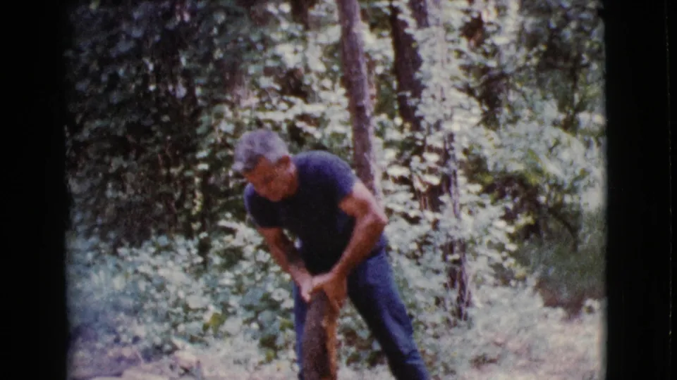 Near the end of the clip, the man pulls hard on the partially split log amid trees and sunlit brush in Cottonwood, Arizona.
