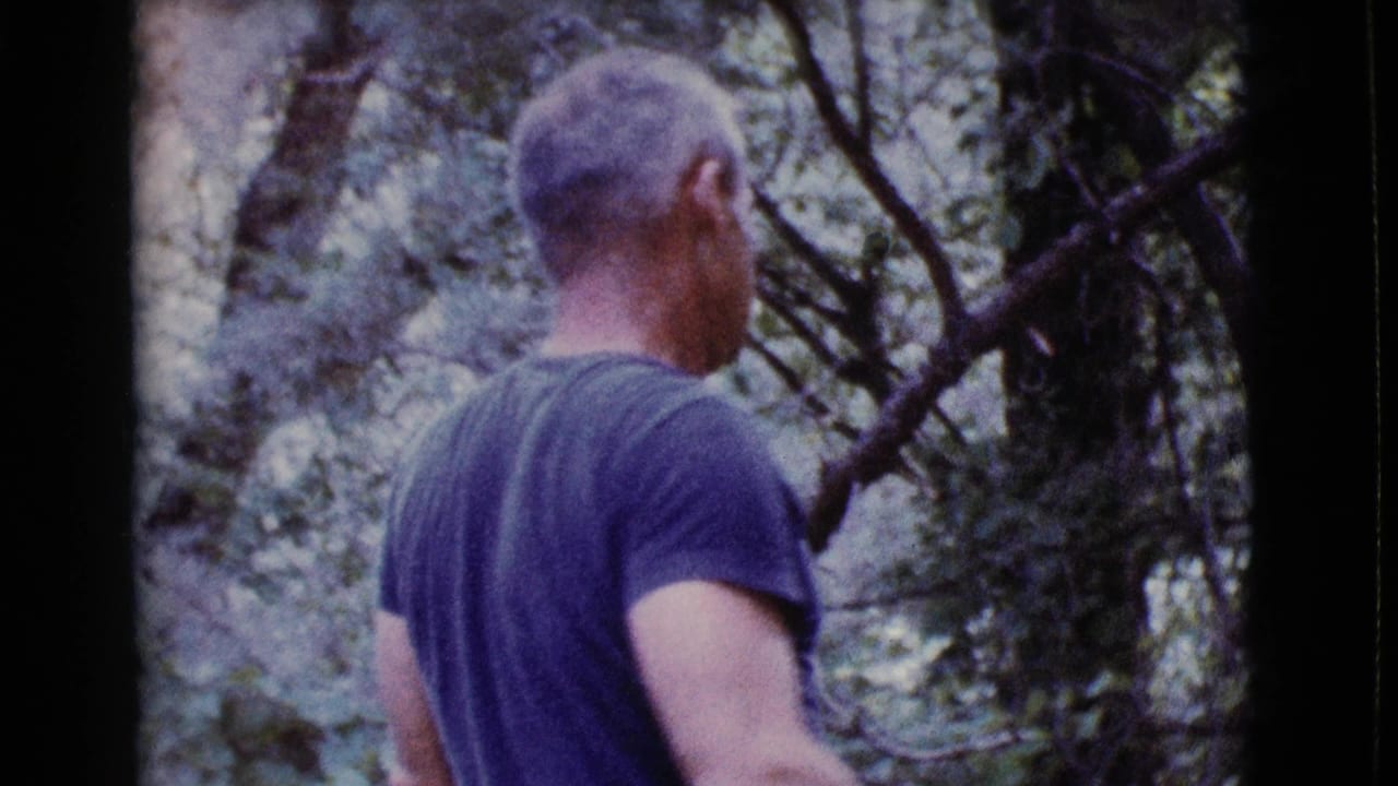 Adult man in a blue shirt seen from behind among trees.