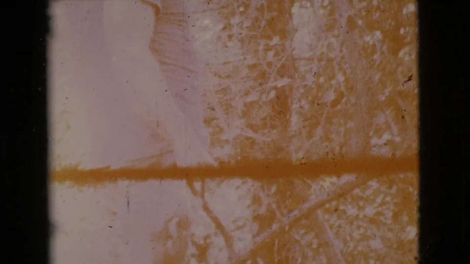 A faded, overexposed 8mm frame shows faint branches and foliage at the end of the Cottonwood, Arizona clip.