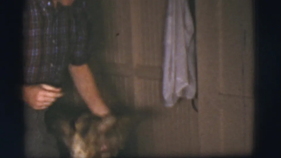 A person reaches toward or interacts with a German Shepherd in a wood-paneled private interior in the 1968 Cottonwood, Arizona footage.