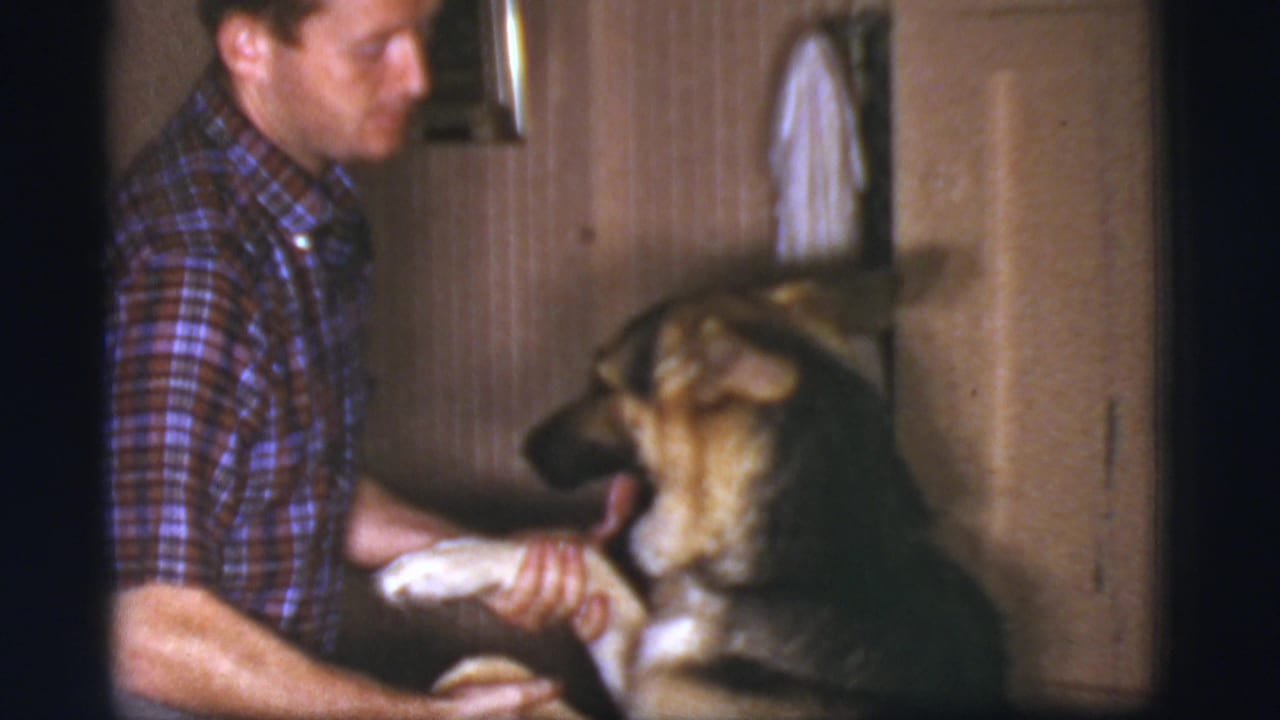 Man in a plaid shirt holds the front paw of a German Shepherd indoors.