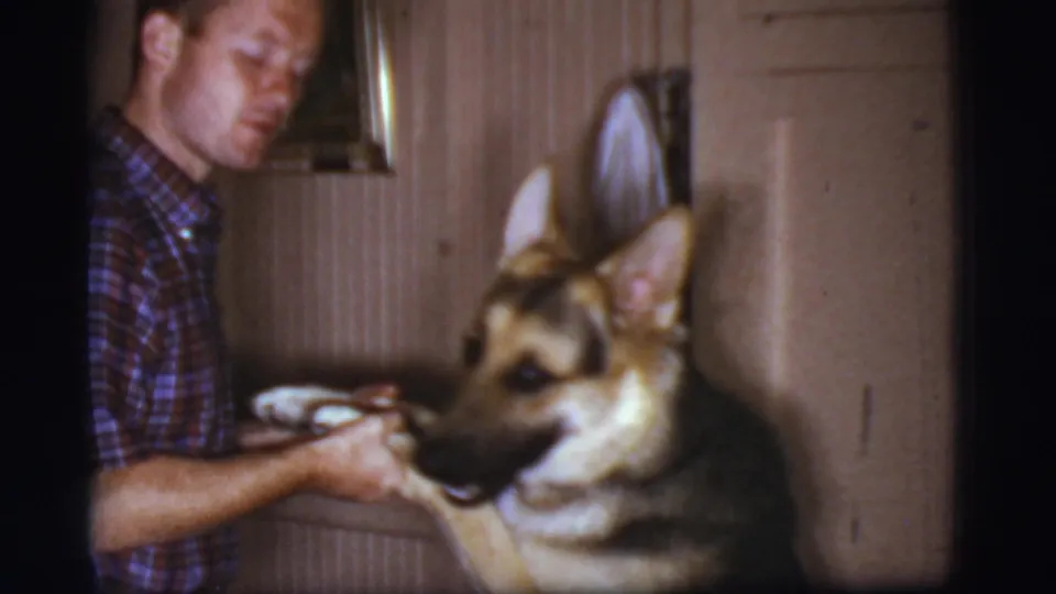 The German Shepherd turns its head while a man holds its paw in a softly lit 1968 home-movie interior in Cottonwood, Arizona.