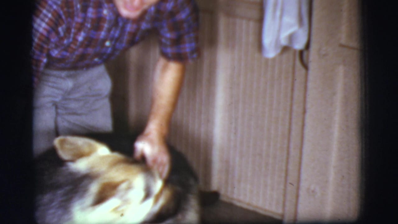 Man in plaid shirt bends over a German Shepherd inside a wood-paneled room.