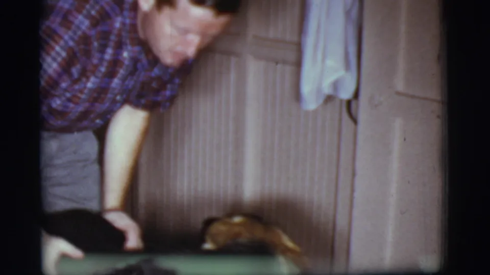 The man leans toward the German Shepherd as it lowers or circles near a paneled wall in the Arizona home setting.