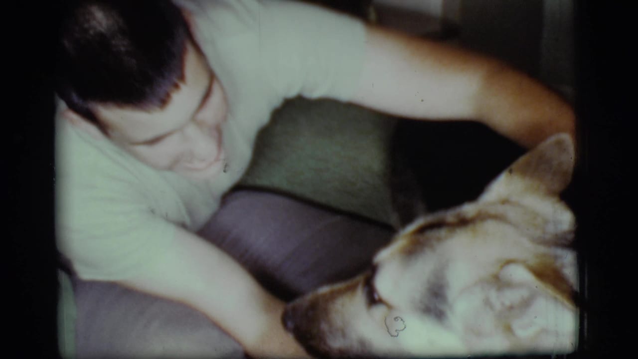 Young man in a light T-shirt pets a German Shepherd on a couch indoors.