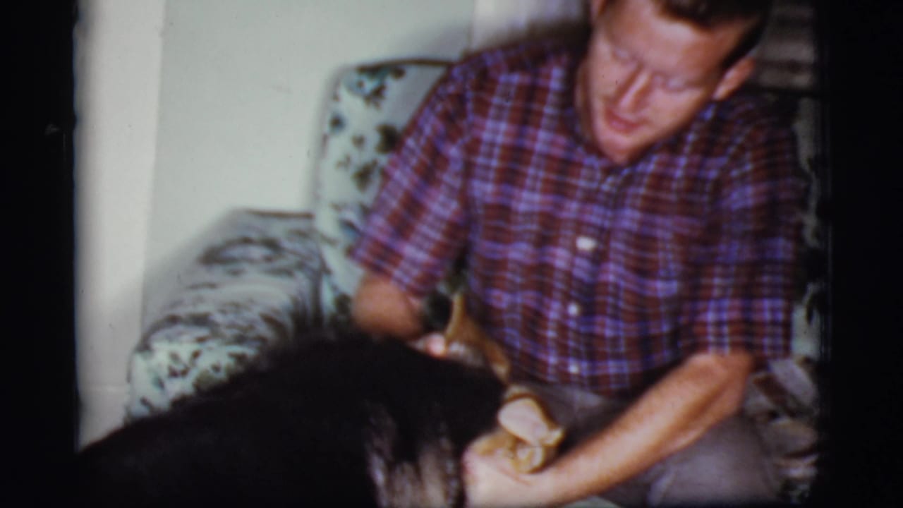 Man in plaid shirt sits on floral sofa petting a German Shepherd.