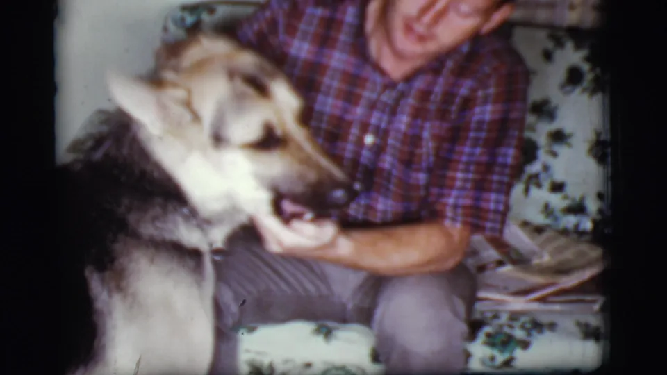 A German Shepherd leans toward a seated man in a plaid shirt inside a Cottonwood, Arizona living room in 1968 footage.