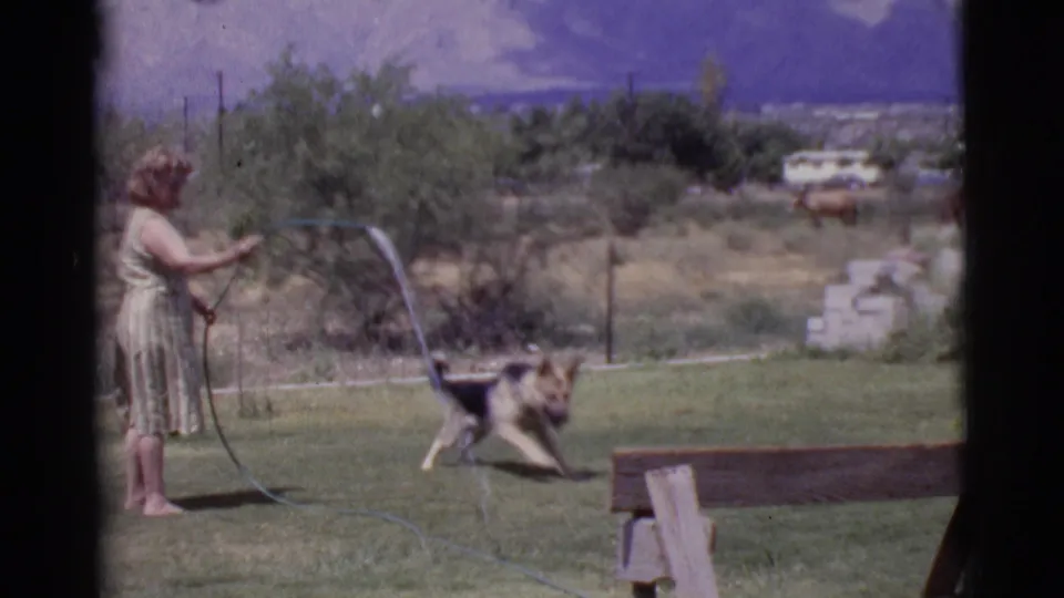1968 home-movie frame from Cottonwood, Arizona showing the dog running across the grass while the woman aims a hose from the left side of the yard.
