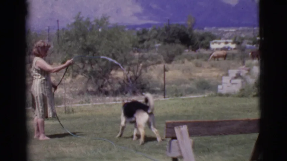 Cottonwood, Arizona home-movie frame from 1968 with a woman spraying a hose across the yard while the dog stands near a wooden bench.