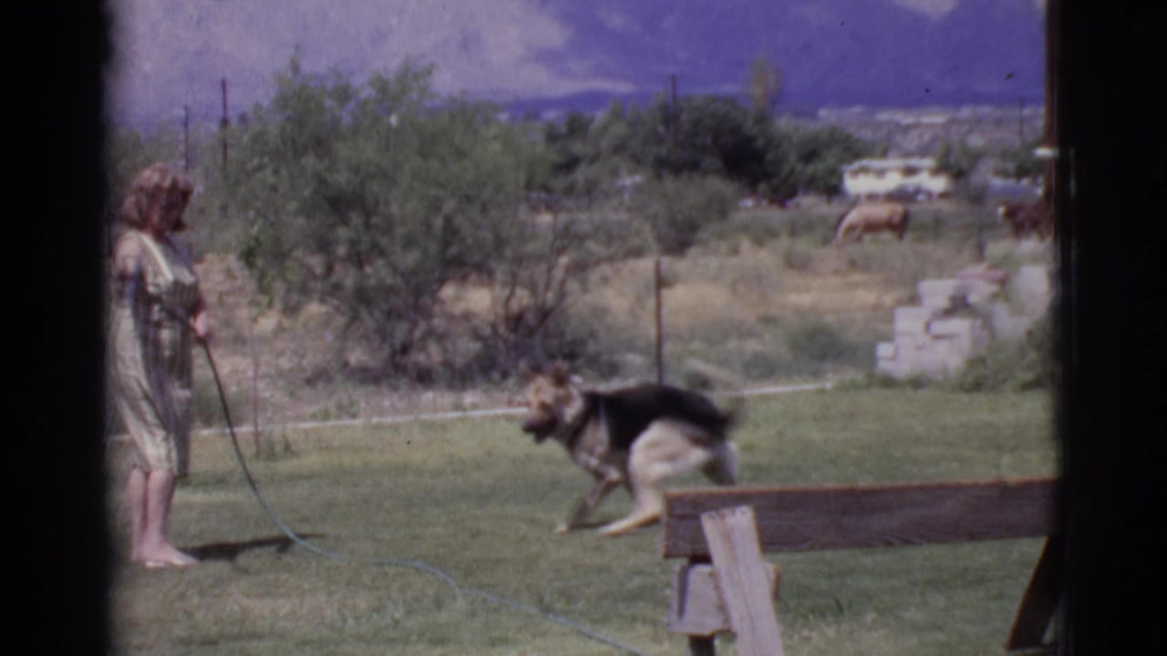 Woman holding a garden hose while a dog moves across a grassy yard.