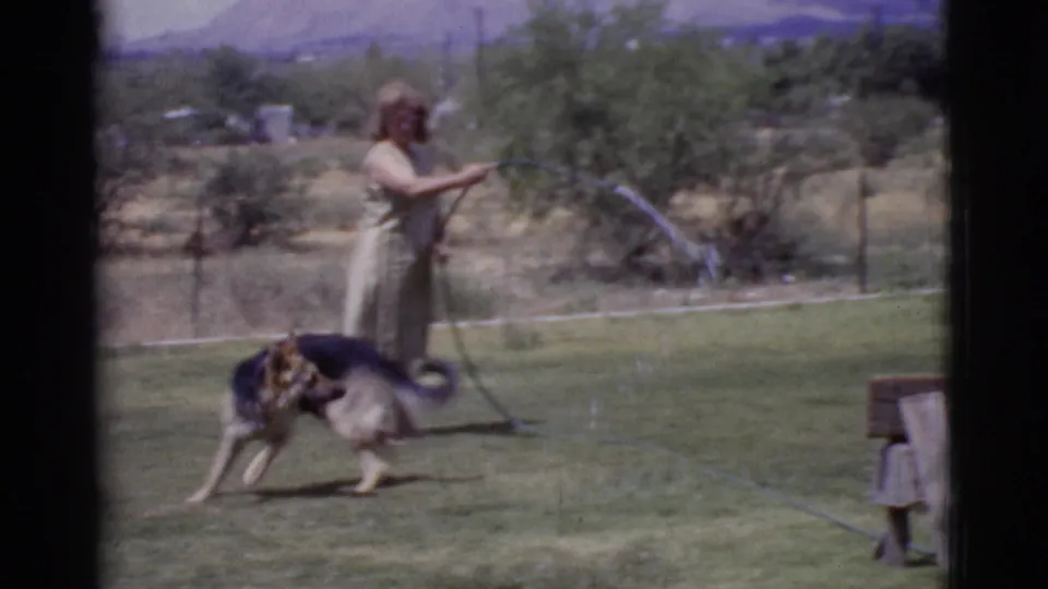 The dog plays close to the hose stream while the woman waters the Cottonwood yard, with shrubs and mountains beyond the fence.