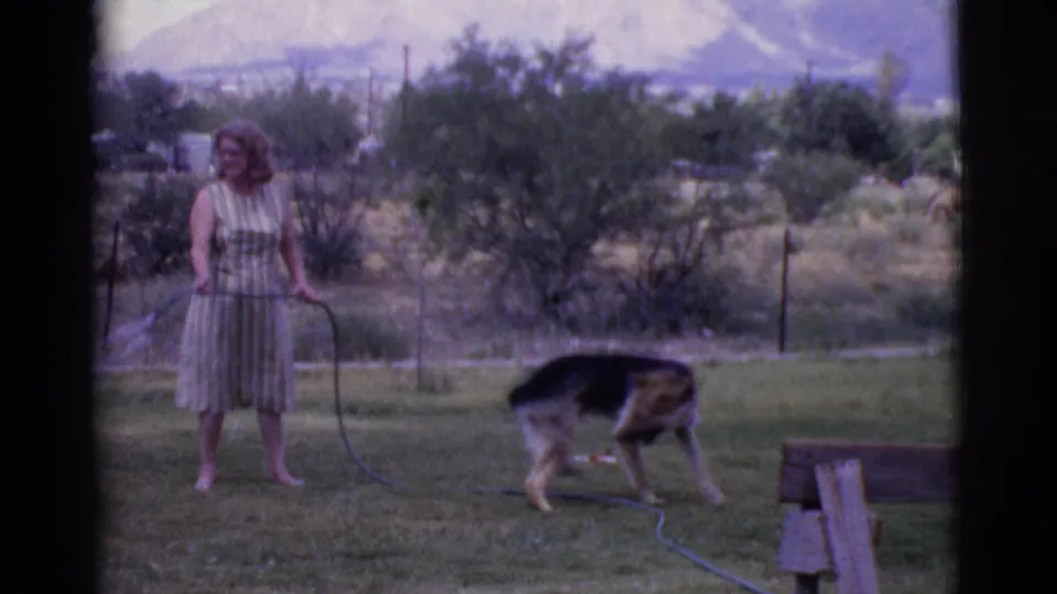 A barefoot woman in a striped dress faces the German Shepherd on the grass, with the garden hose lying across the yard in 1968 home-movie footage.