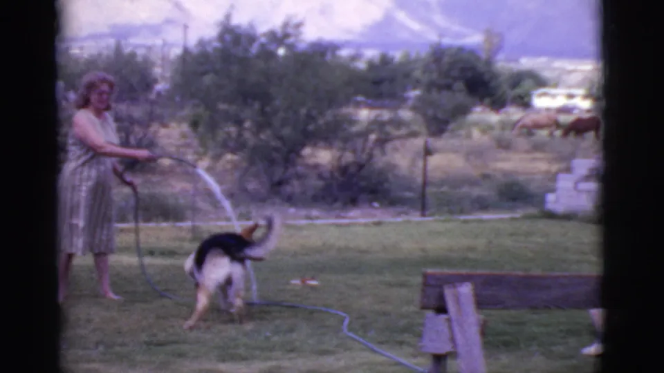 In the Cottonwood backyard scene, the woman directs water from the hose toward the German Shepherd as it turns on the lawn near distant shrubs and mountains.