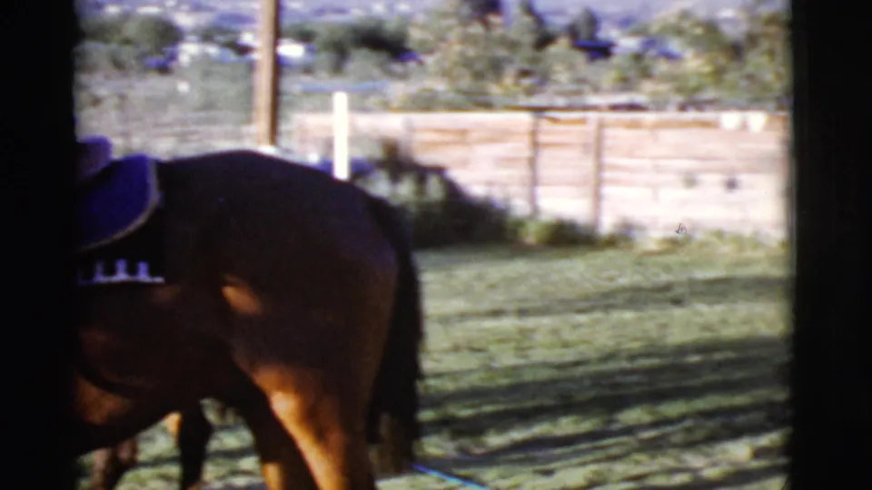 A saddled brown horse stands in the yard, partly hidden by a dark vertical obstruction in the 8mm frame.